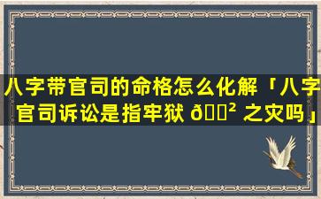 八字带官司的命格怎么化解「八字官司诉讼是指牢狱 🌲 之灾吗」